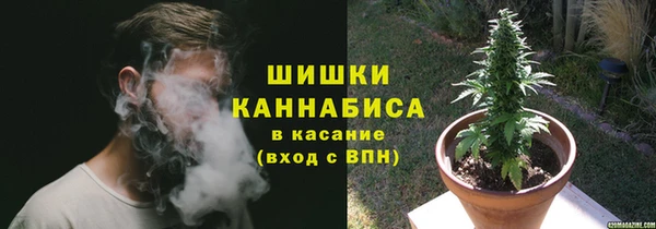 каннабис Белокуриха