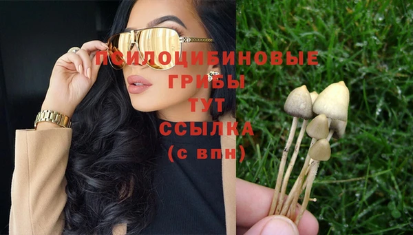 сатива Балабаново