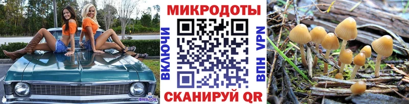 площадка какой сайт  Кущёвская  Псилоцибиновые грибы мухоморы  купить  